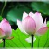 身心灵养生