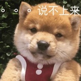 松田翔太