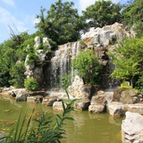 可丽饼萃干五仁