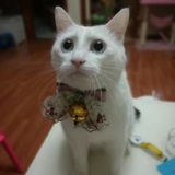 qweqian