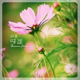 曦到丽江去~