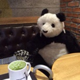 Panda. Latte