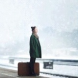 素锦