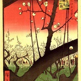 长大