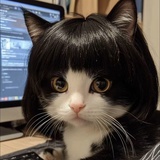 wangouxubi