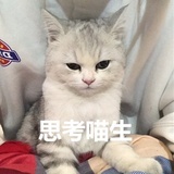 馒头可爱吧