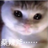 罢了