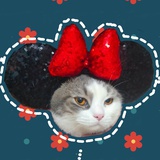 有只小猪咪