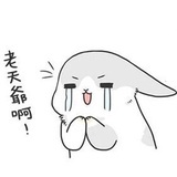 落入海面的雨