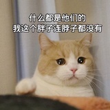 眷绿