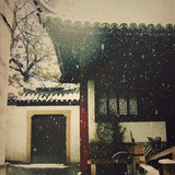 闲寻