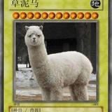 白日做梦