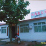 鸿雁