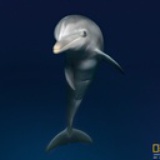 poemofthesea