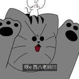 裴珠泫