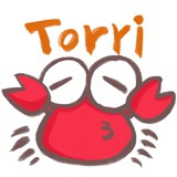 毒葯丶Torri