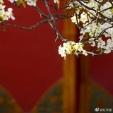 小也快跑