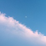 邹闲闲