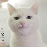 高丸