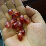 茉莉