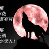 曾经的涩狼