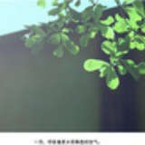 四月April