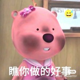 粥粥的小确幸