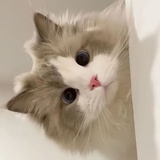 Jffffy