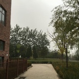小宝