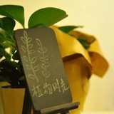 植物时光
