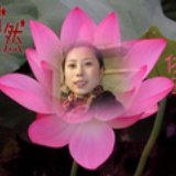小金鱼