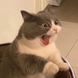 八百标兵
