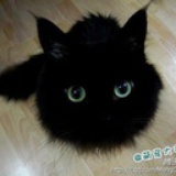 makala