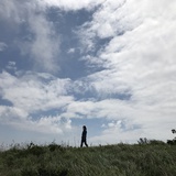 小山核桃