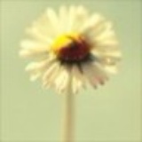 春暖花开。