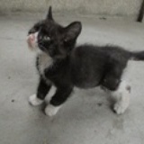 nini2011