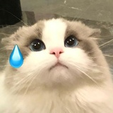 someone
