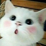 知否知否不是梦
