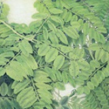 听雨斋人