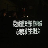 锅包世间万物