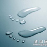 莫黧