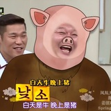 你看不到我