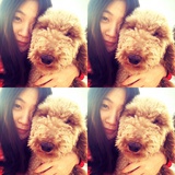 rainchow