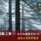 维纳斯的眼袋