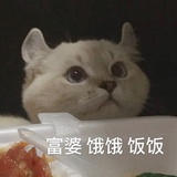 小猫咸菜