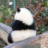 南丁格尔