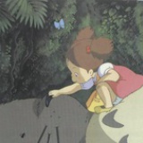 Amy Li风径