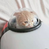 蓝笙烟