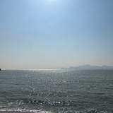 坏李平
