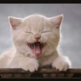 zzzzahhhh